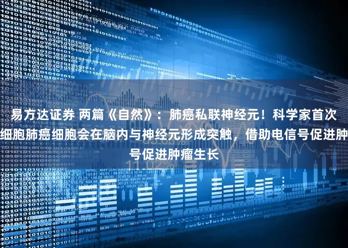 易方达证券 两篇《自然》：肺癌私联神经元！科学家首次发现小细胞肺癌细胞会在脑内与神经元形成突触，借助电信号促进肿瘤生长