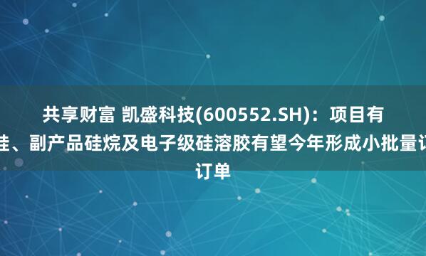 共享财富 凯盛科技(600552.SH)：项目有机硅、副产品硅烷及电子级硅溶胶有望今年形成小批量订单